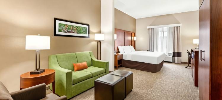 阿宾登岛I-81舒适套房酒店(Comfort Suites Abingdon I-81)图片