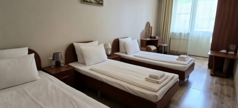 凯比坦莫雷酒店(Kapitan Morej Hotel)图片