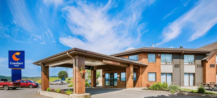 斯威夫特卡伦舒适酒店(Comfort Inn)图片