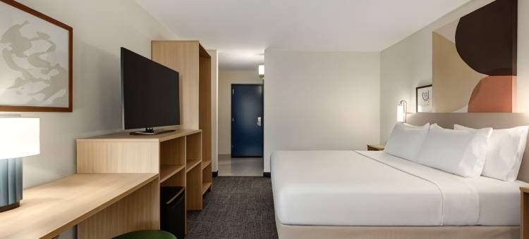 纳什维尔奥普里兰希尔顿斯帕克酒店(Spark by Hilton Nashville at Opryland)图片