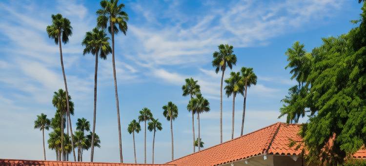 莱塔酒店(The Leta Santa Barbara Goleta, Tapestry Collection by Hilton)图片