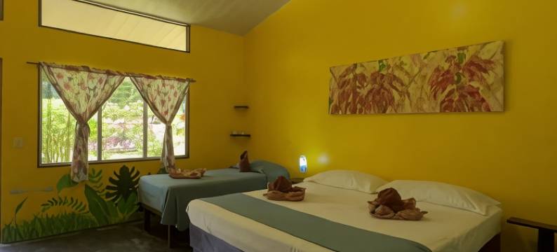 Gran Gavilán del Sarapiquí Lodge图片