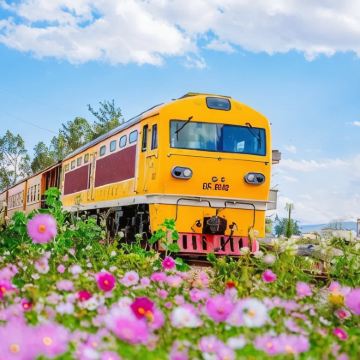 昆明+建水+元阳哈尼梯田+弥勒+抚仙湖6日5晚私家团