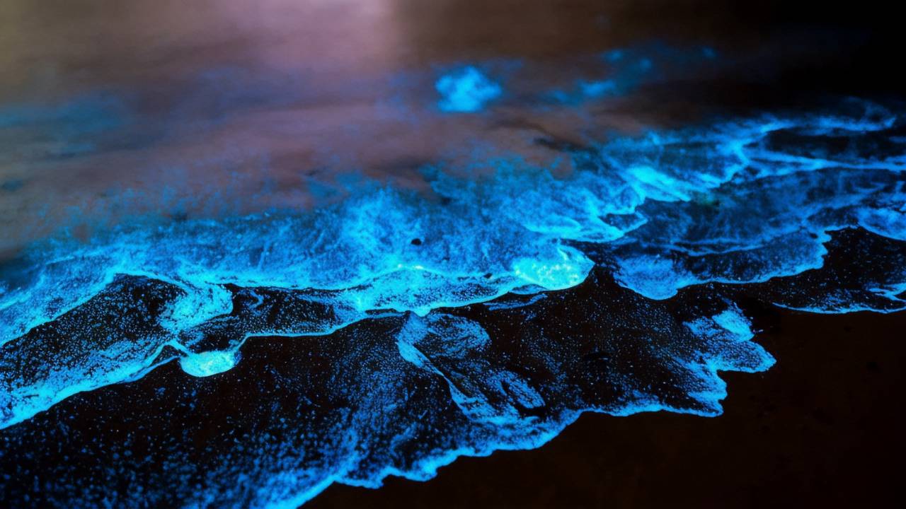 Lunar Sea・天涯海角・沙滩海景度假美墅图片