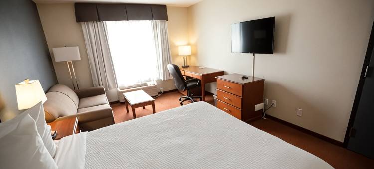 怀特考特速8酒店(Super 8 by Wyndham Whitecourt)图片