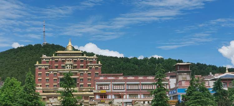 香格里拉月鸟青年旅舍图片