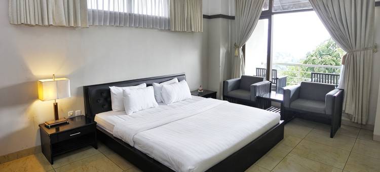 奇安朱尔西帕纳斯酒店(Hotel Cianjur Cipanas)图片