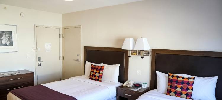 柯林斯酒店(Collins Hotel)图片