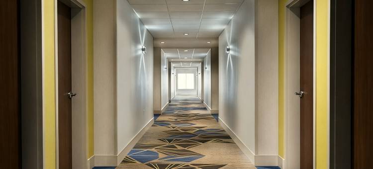洲际酒店集团旗下的智选假日酒店及套房布拉塞尔顿西(Holiday Inn Express & Suites BRASELTON WEST by IHG)图片