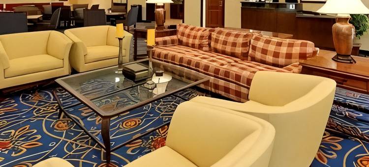 休斯顿北／雪兰多万豪TownePlace酒店(TownePlace Suites Houston North/Shenandoah)图片