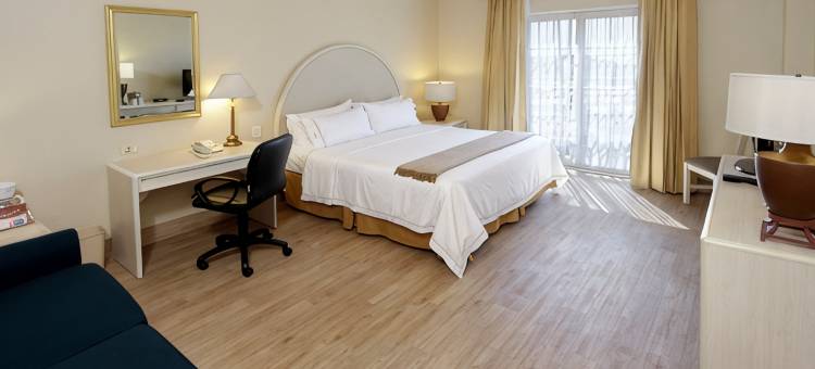 Holiday Inn Express 托雷翁(Holiday Inn Express TORREON by IHG)图片