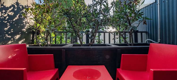 Indulge in an Urban Oasis at Green Point's Snug图片