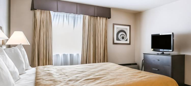 大学机场凯艺套房酒店(Quality Inn & Suites University-Airport)图片