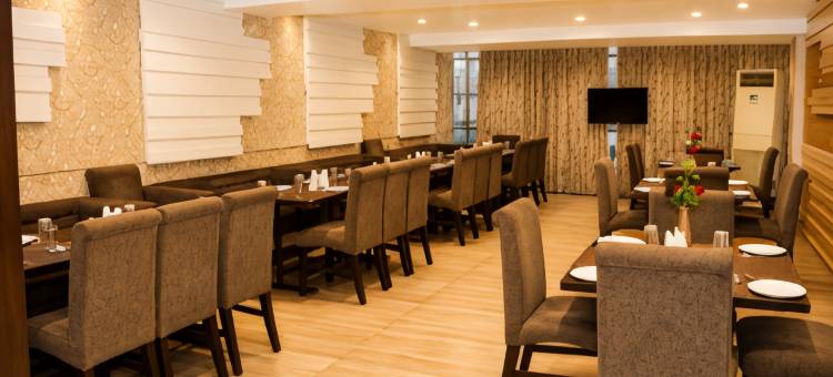 马亨德拉酒店(Hotel Mahendra)图片