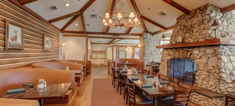 拉芙琳河流小屋(Laughlin River Lodge)图片