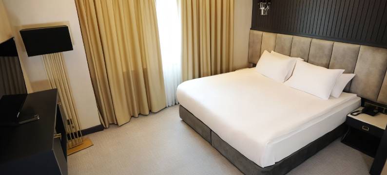 桑尼乌法德德曼酒店(Dedeman Sanliurfa)图片