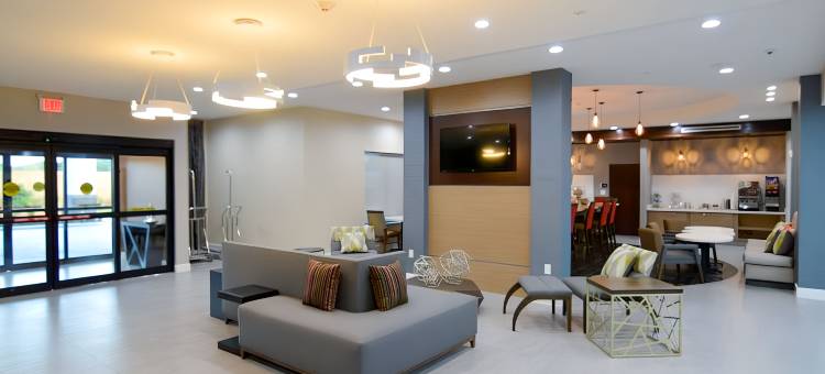 休斯顿 I-45 北 - IAH 舒适套房酒店(Comfort Inn & Suites Houston I-45 North - IAH)图片