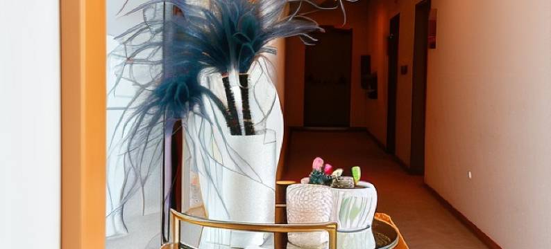 圣托赛尔酒店(Santo Thyrso Hotel)图片