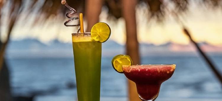 年轻狂野和自由旅馆(Young Wild and Free)图片