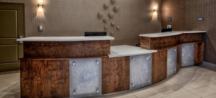 诺福克中心Residence Inn 酒店(Residence Inn Norfolk Downtown)图片