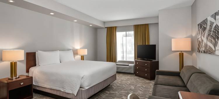 凤凰城格兰岱尔体育娱乐区万豪SpringHill酒店(SpringHill Suites Phoenix Glendale Sports & Entertainment District)图片