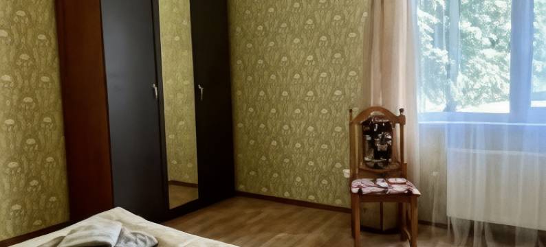 Park Hotel Format图片