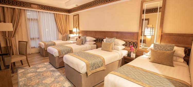 紫罗兰酒店(Violet Al Azizia Hotel)图片