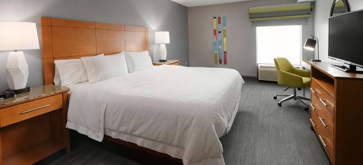 希尔顿欢朋套房酒店-休斯顿医学中心/雷莱恩公园(Hampton Inn & Suites Houston Medical Center NRG)图片