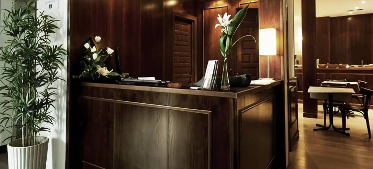 托莱多帝国饭店(Sercotel Toledo Imperial)图片