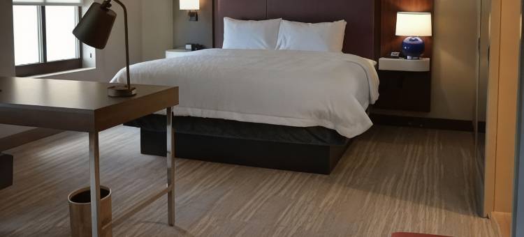 费城米迪尔希尔顿欢朋套房酒店(Hampton Inn & Suites Philadelphia/Media)图片