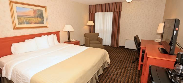 凯艺酒店(Quality Inn)图片