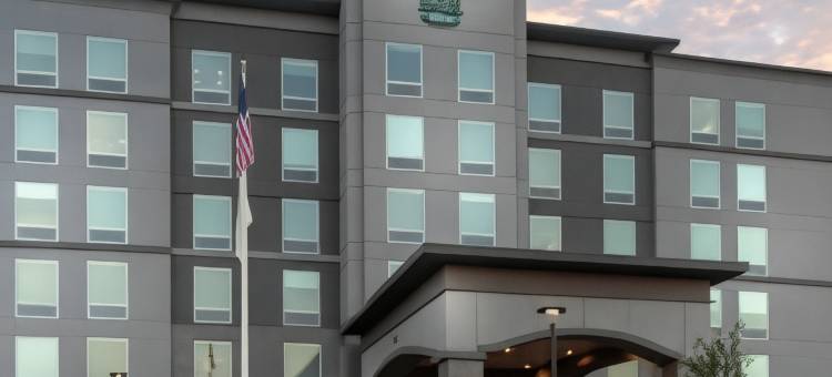 兰辛伊斯特伍德Homewood Suites by Hilton(Homewood Suites by Hilton Lansing Eastwood)图片