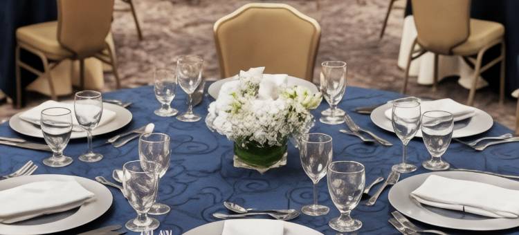 麦克莱恩泰森希尔顿逸林酒店(DoubleTree by Hilton McLean Tysons)图片