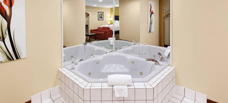 杰克逊维尔贝斯特韦斯特酒店(Best Western Jacksonville Inn)图片