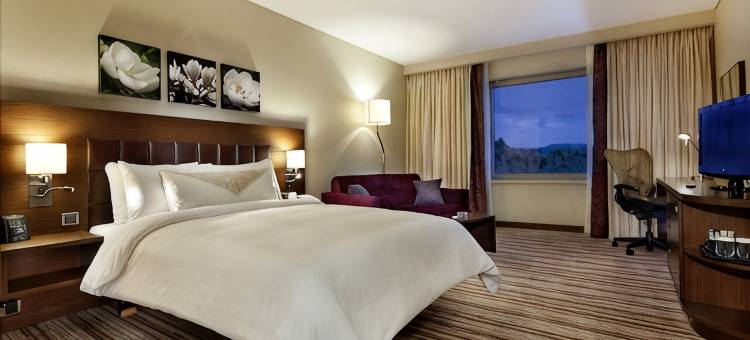 科尼亚希尔顿花园酒店(Hilton Garden Inn Konya)图片
