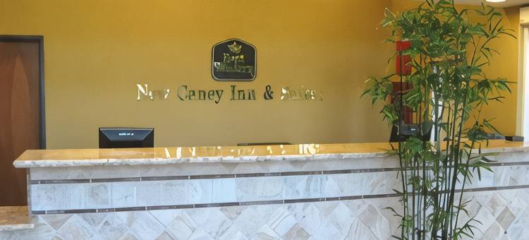 新凯尼贝斯特韦斯特优质套房酒店(Best Western Plus New Caney Inn  Suites)图片