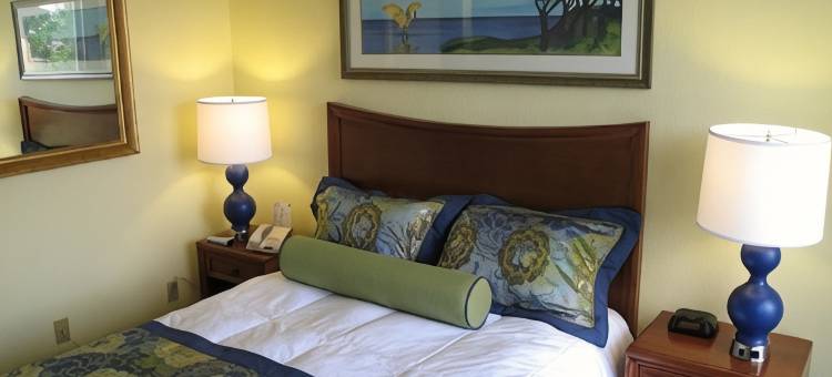 韦斯特盖特蓝树度假村(Blue Tree Resort in Lake Buena Vista)图片
