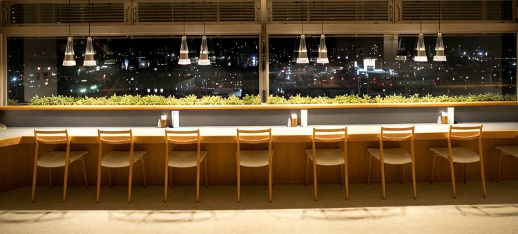HOTEL LADIAS PLAZA YOKOTE图片