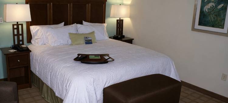 中心希尔顿欢朋旅馆&套房酒店(Hampton Inn & Suites Center)图片