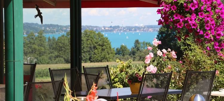 哈伯尔酒店在阿特湖(Hotel Haberl - Attersee)图片
