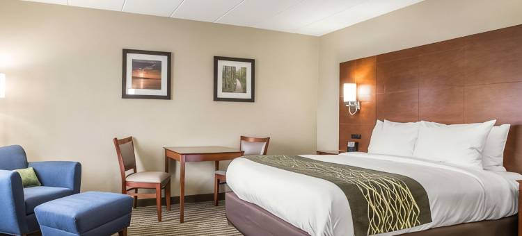 哈蒙德I-94舒适酒店(Comfort Inn Hammond I-94)图片