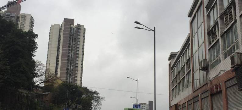 重庆琼林宾馆图片