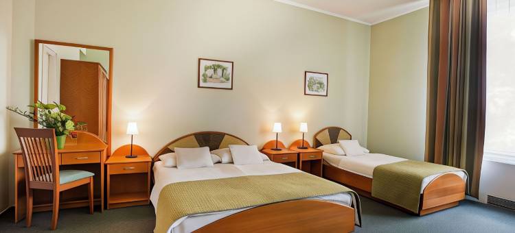 布达佩斯巴罗斯城市酒店(Baross City Hotel - Budapest)图片
