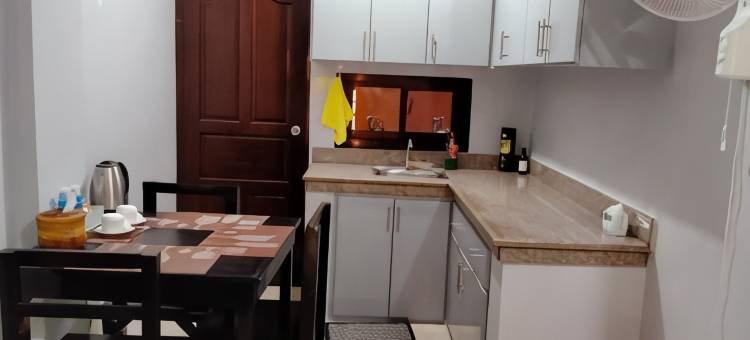 V.F. 里顿公寓酒店(V.F. Riton Apartelle)图片