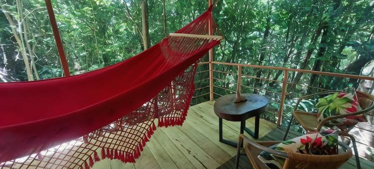丛林生活树屋(Jungle Living Tree Houses)图片