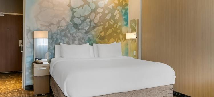 托莱多北万豪万怡酒店(Courtyard Toledo North)图片