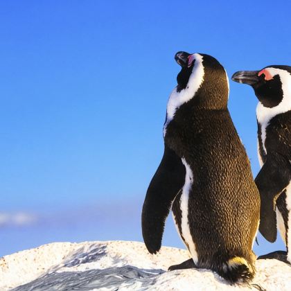 南非12日9晚跟团游