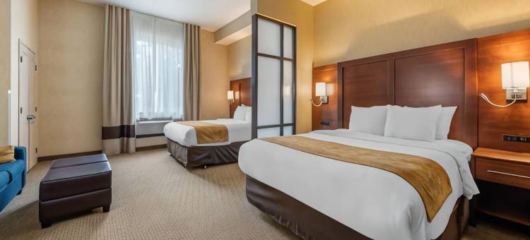 洛杉矶工业城附近舒适套房酒店(Comfort Suites Near City of Industry - Los Angeles)图片