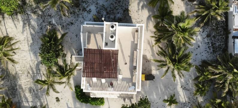 加勒比Casablanca(Caribbean Casa Blanca)图片