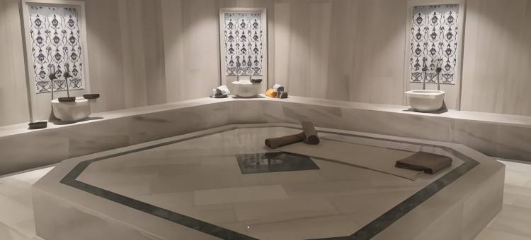 阿瑟钻石酒店及会议中心(Eser Diamond Hotel Convention Center)图片
